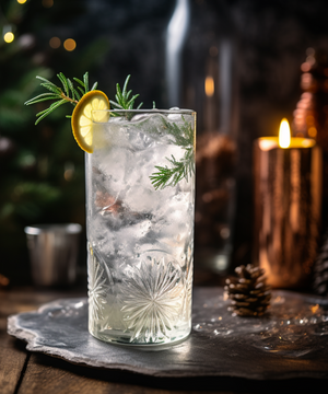Gin Seminar <br> 11.12.2026